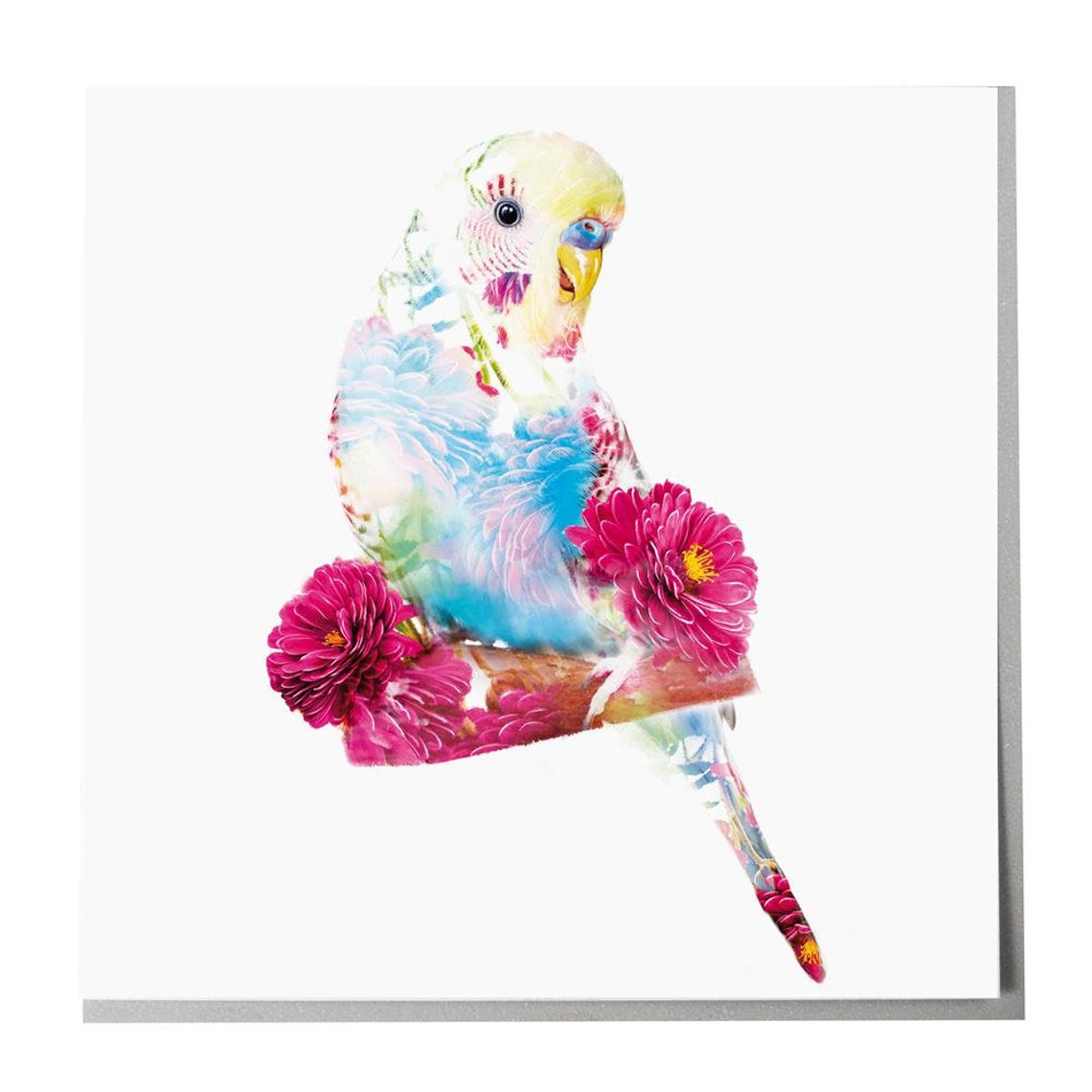 Budgie - Minimal Bird Portrait