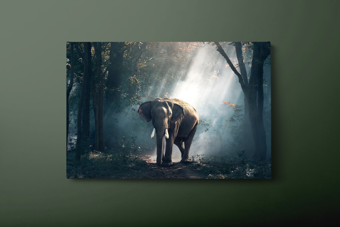 Elephant In Foggy Jungle Misty Forest Wildlife Animal Wall Art