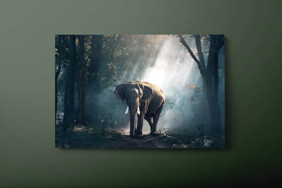 Elephant In Foggy Jungle Misty Forest Wildlife Animal Wall Art