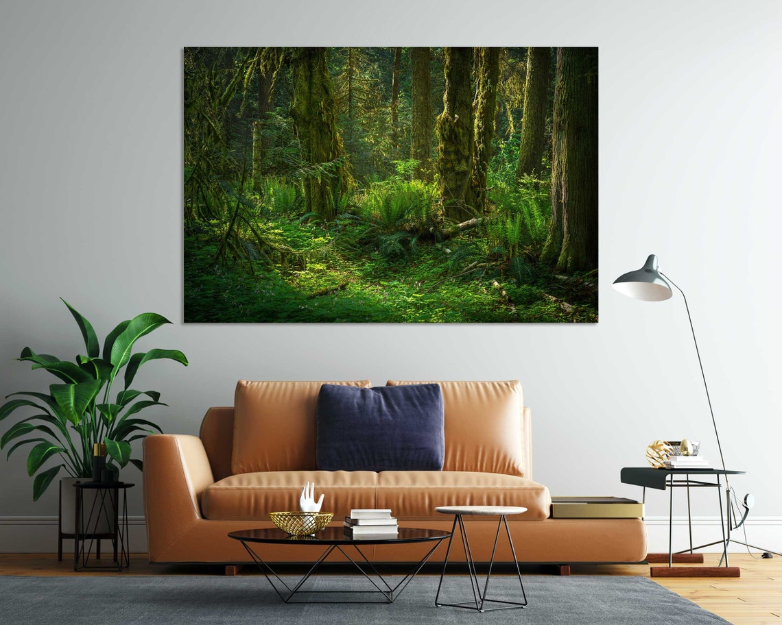 Lush Green Tropical Forest Sunlight Through Mossy Trees Wall Art