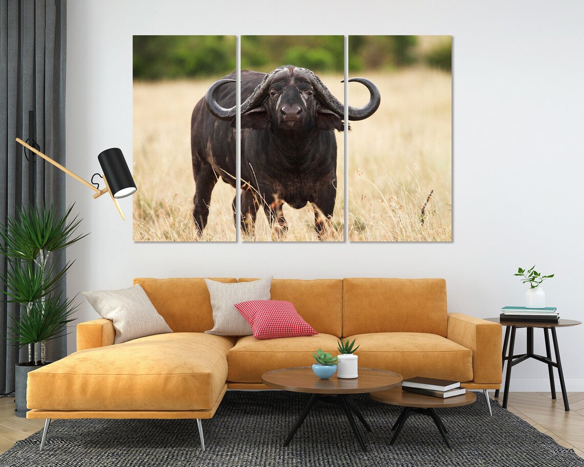 African Buffalo Front View Savanna Grassland Wildlife Photography Poster - Image 8