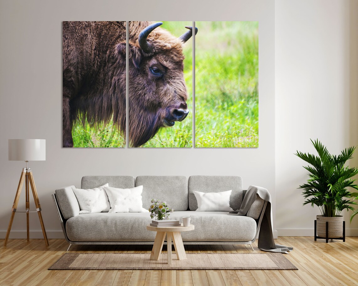 Bison Buffalo Closeup Portrait Wild Animal Wildlife Art Print