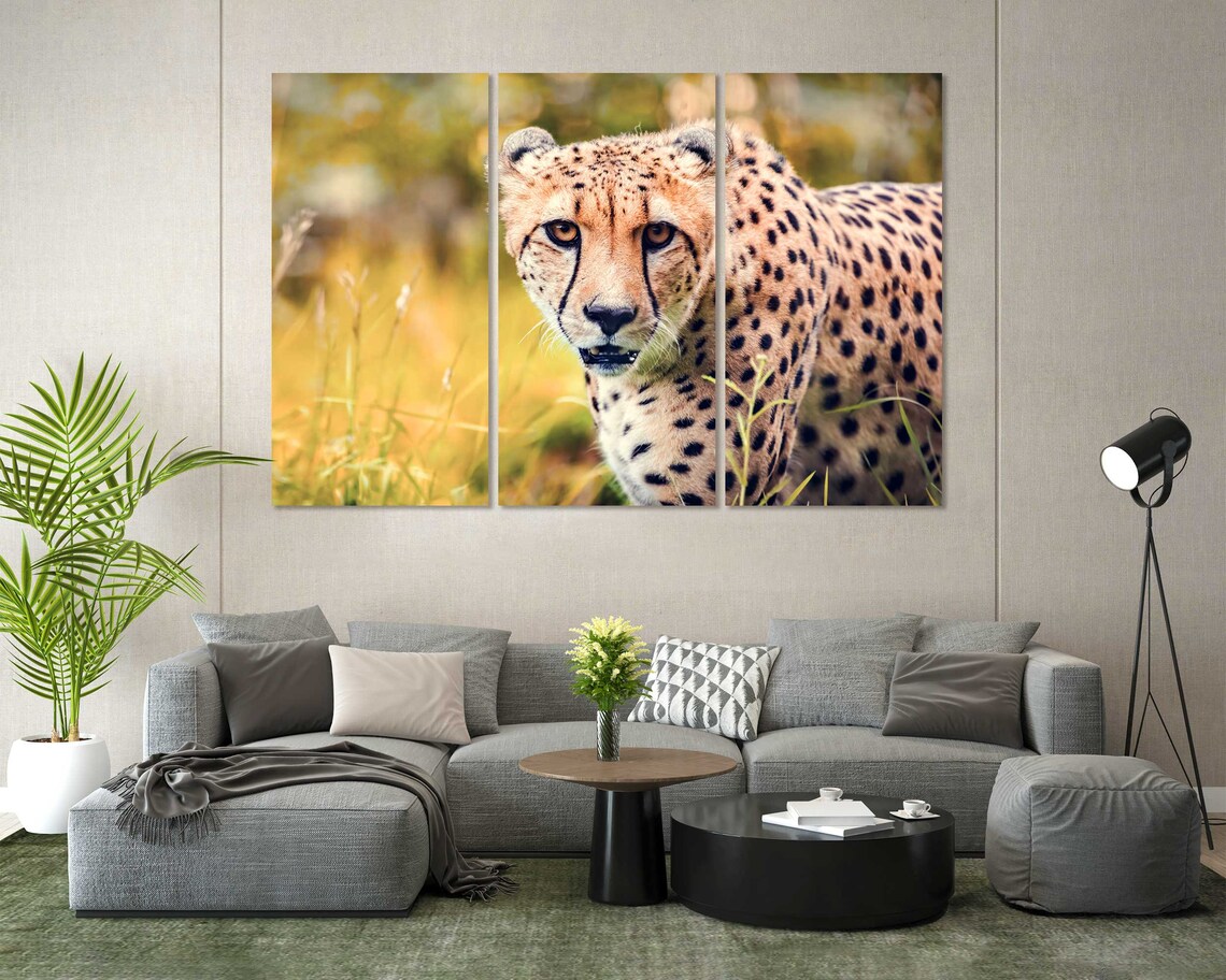 Cheetah Close Up Golden Grass Wild Cat Spotted Safari Animal Portrait Poster - Image 6