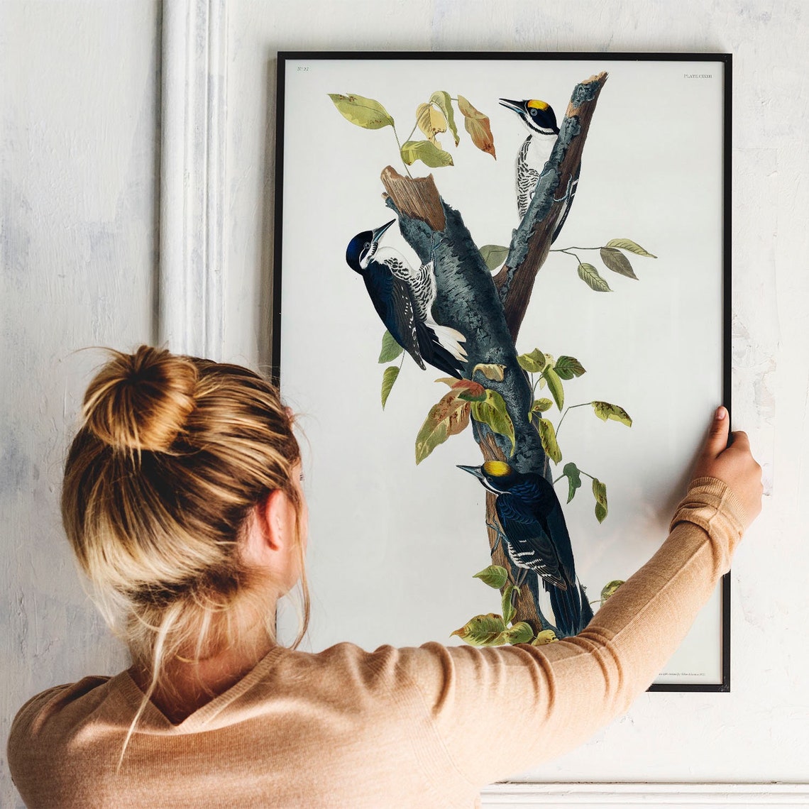 Audubon Three Toed Woodpecker Birds Vintage Ornithology Bird Poster - Image 3