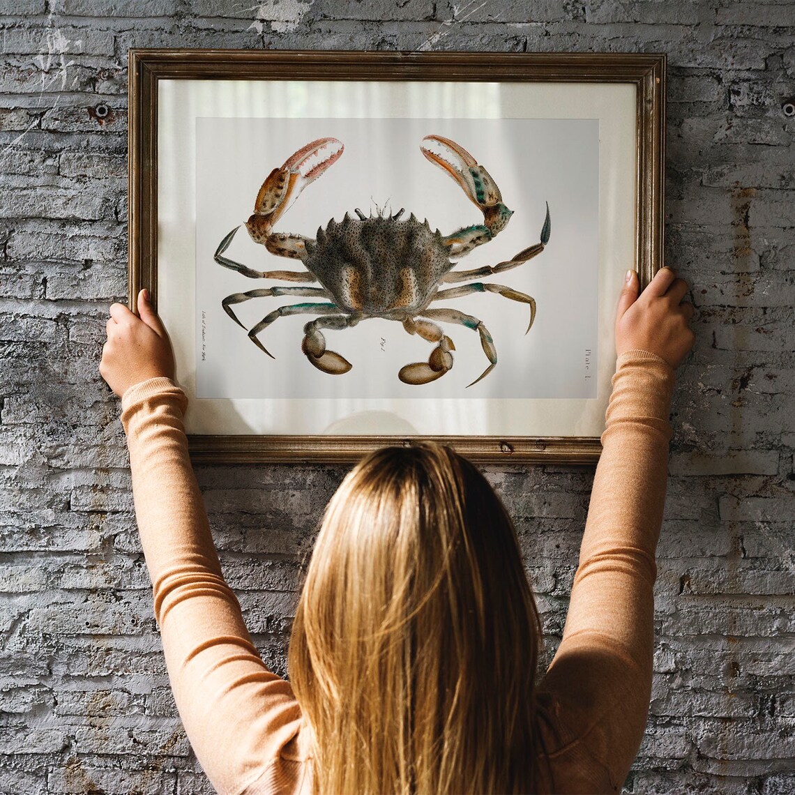 Vintage Crab Illustration Art Print, Fishing Decor - Image 3