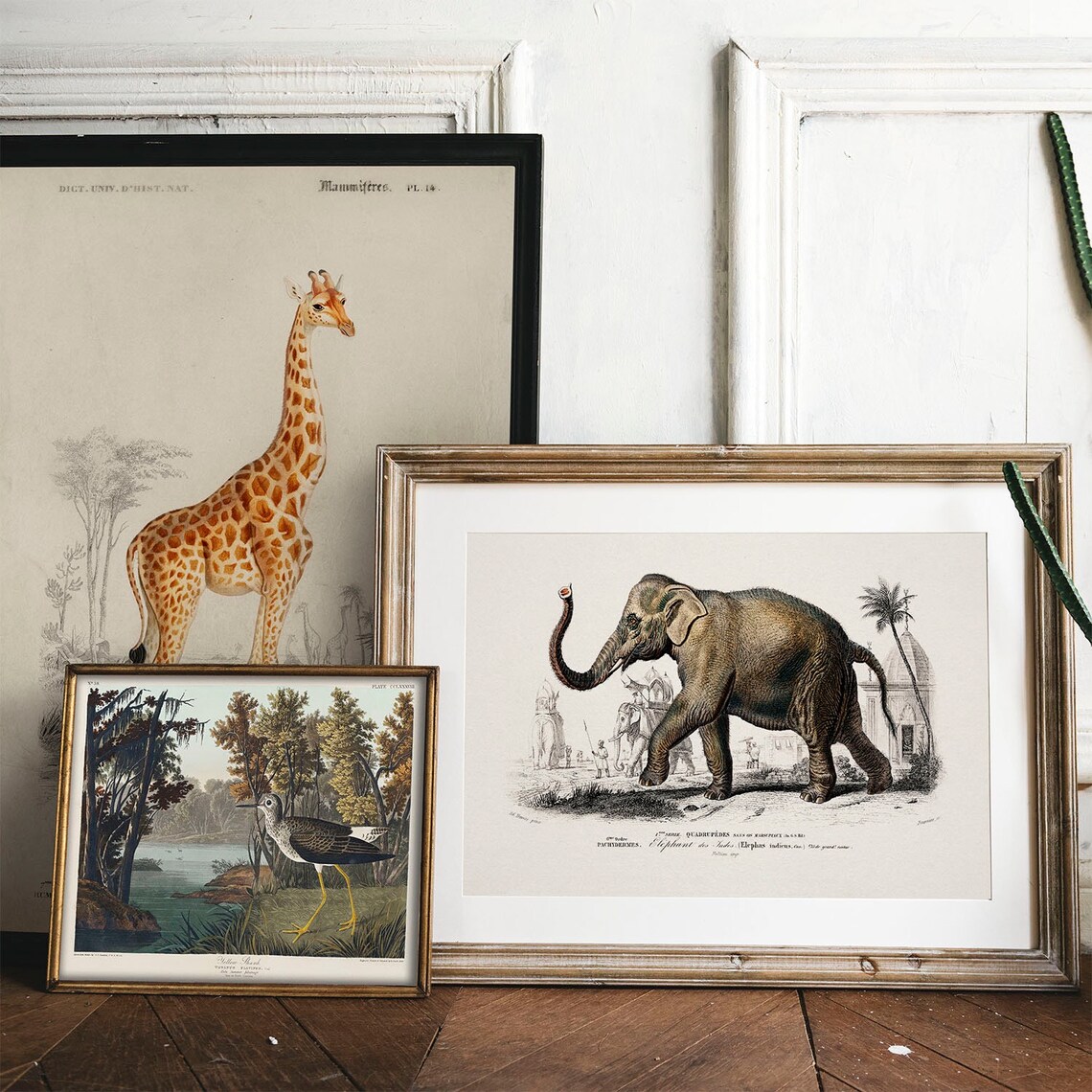 Elephant Antique Animal Drawing, Vintage Poster - Image 2