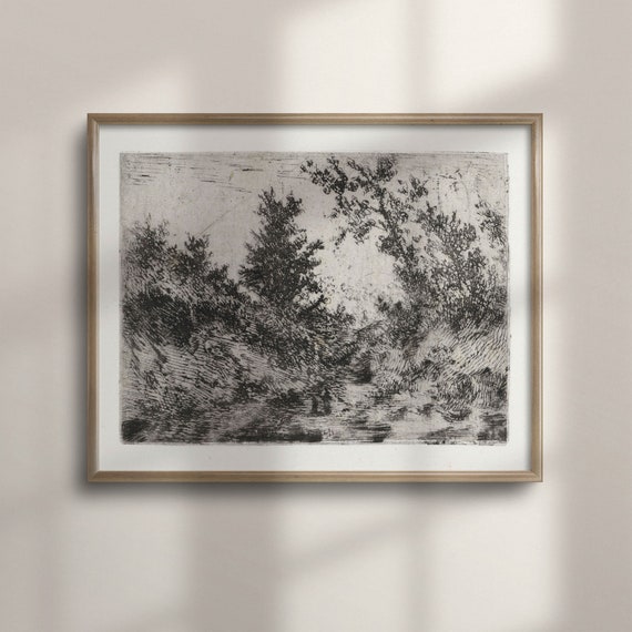 Antique Forest Sketch Vintage Etching Print Fine Art Poster Black And White Tree Art Unique Birthday Gift C16 670