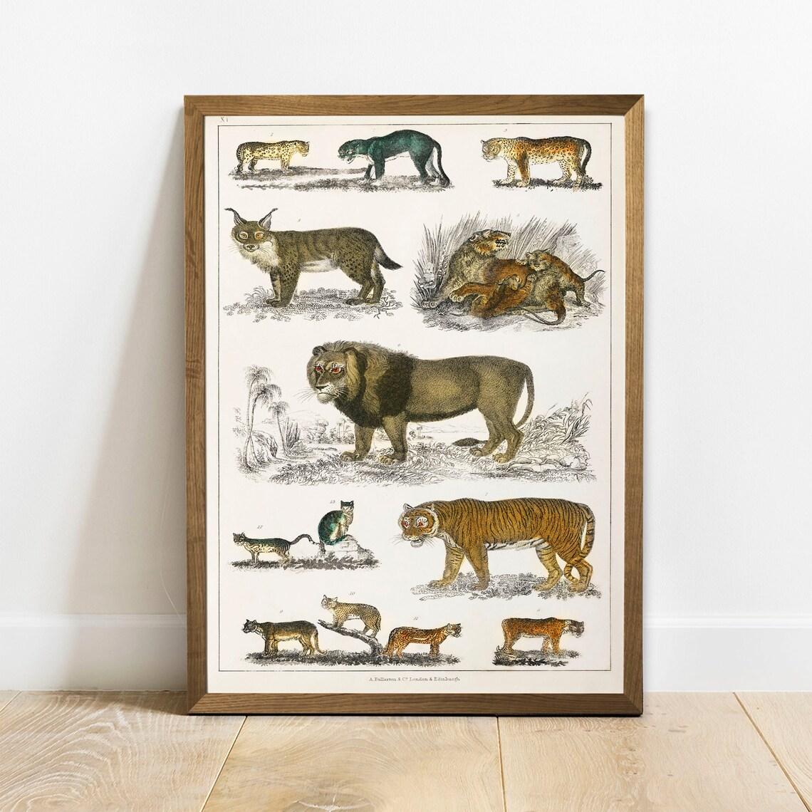 Cat Family Antique Animal Painting Vintage Poster