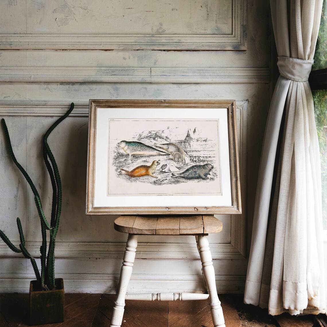 Seals Antique Animal Painting, Vintage Wall Art - Image 4