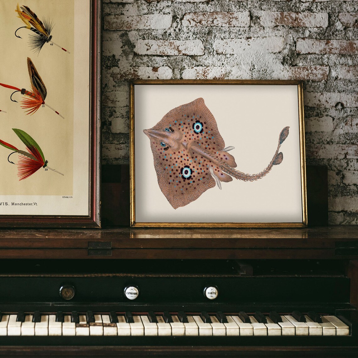 Fish Illustration Ray Fish Vintage Fishing Poster - Image 4