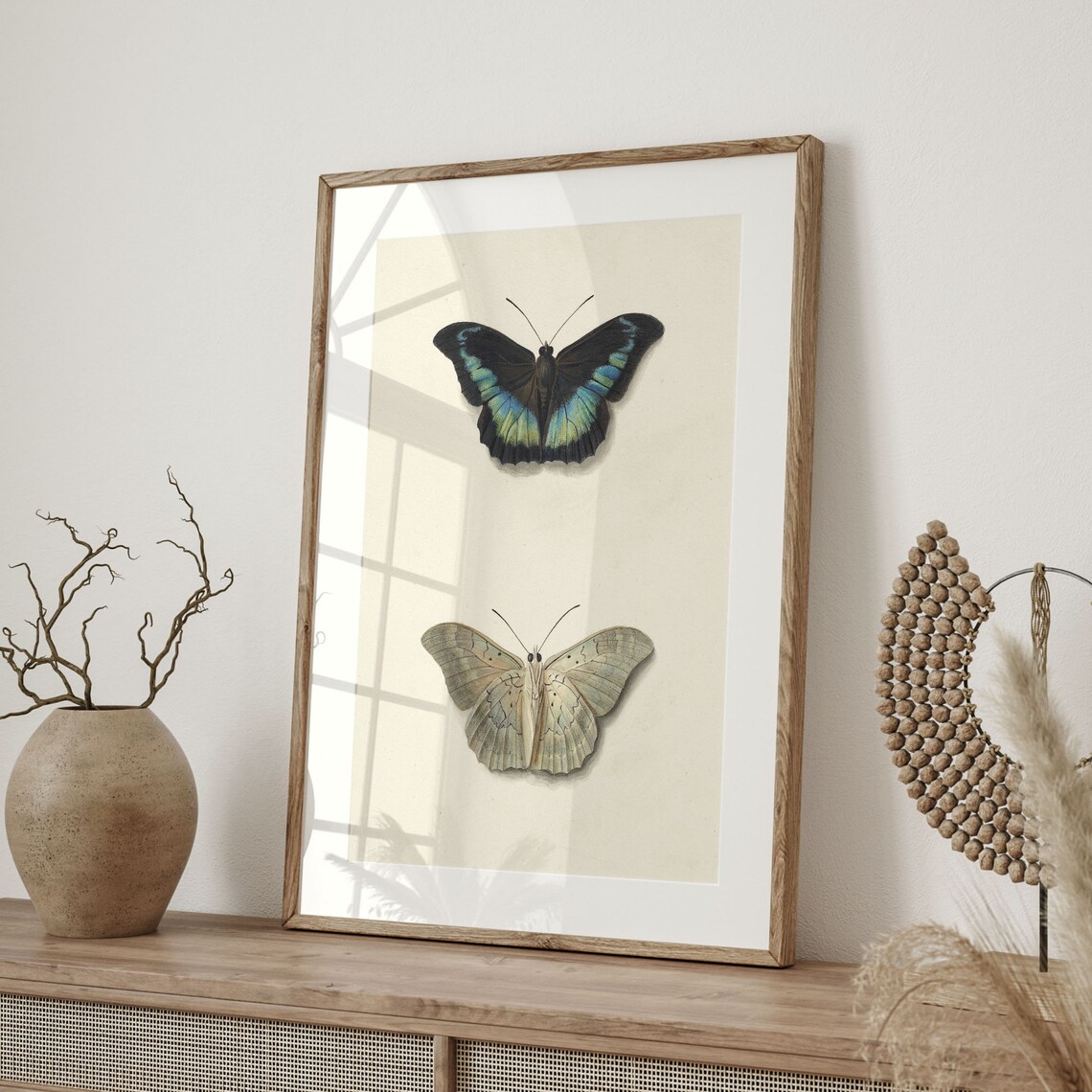 Vintage Entomological Illustration Of Two Butterflies Art Poster - Image 4