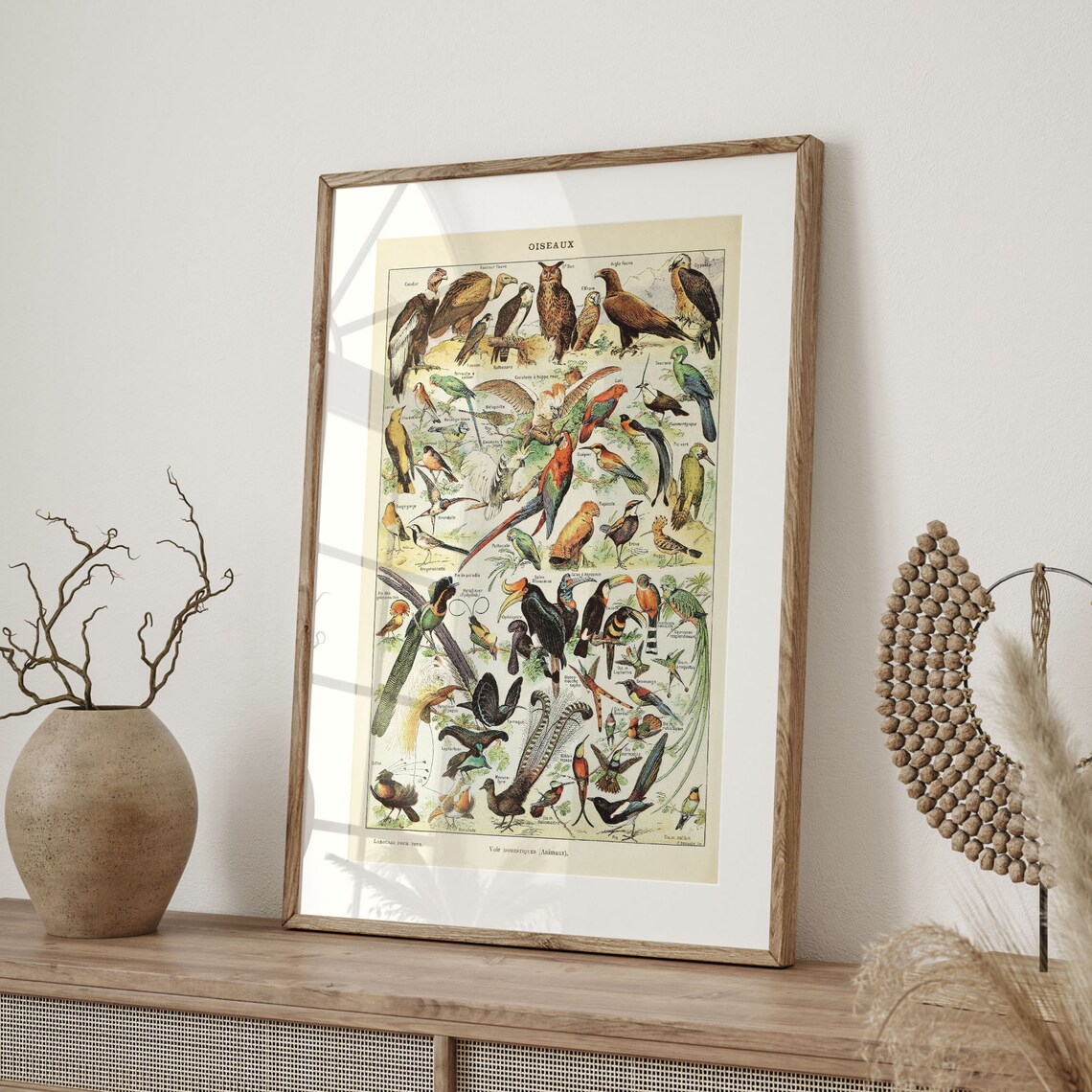 Adolphe Millot Bird Science Poster, Vintage Botanical Art - Image 4