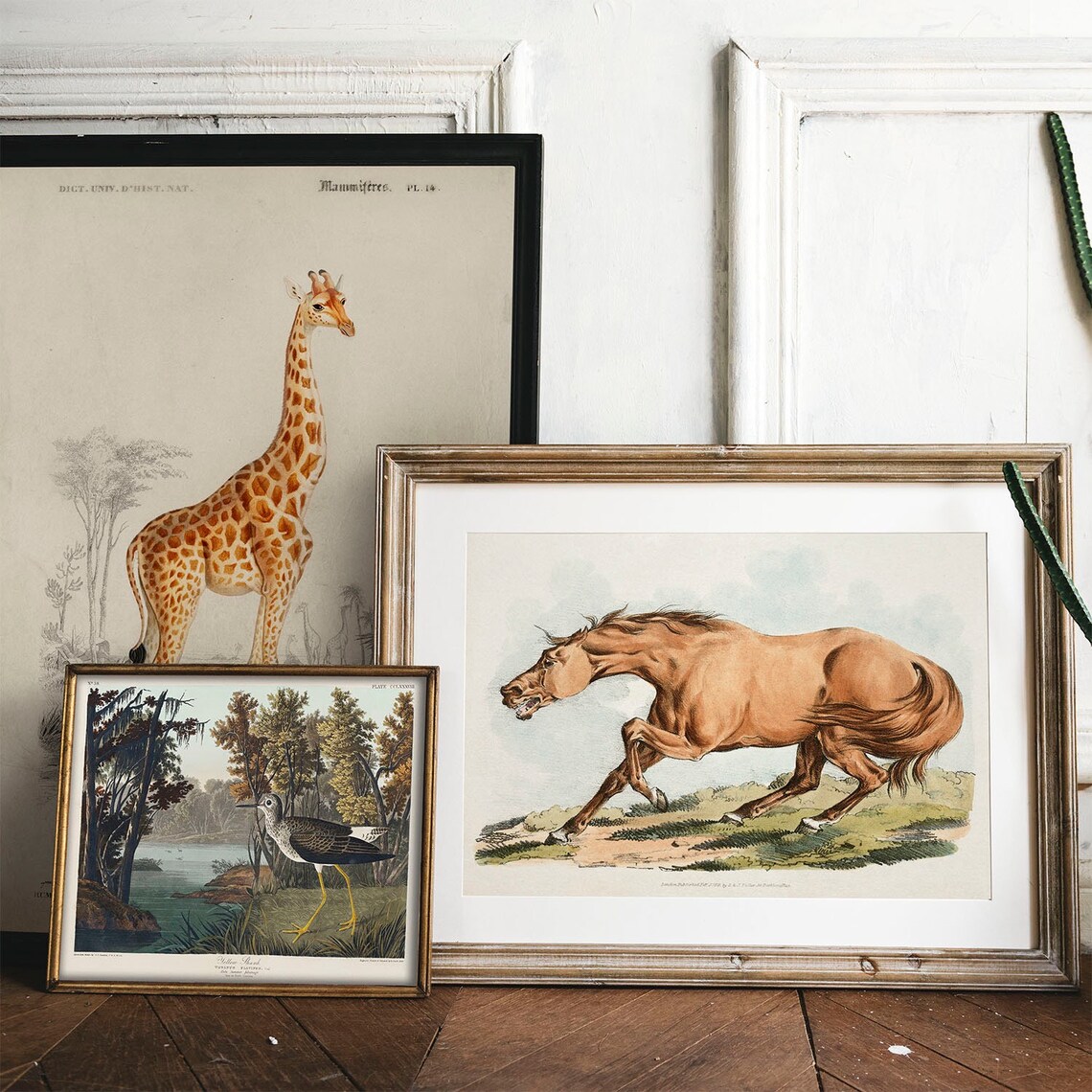 Horse Vintage Drawing Poster, Antique Illustration - Image 2