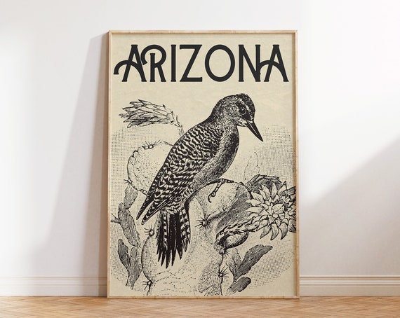 Arizona Vintage Travel Poster Art Print