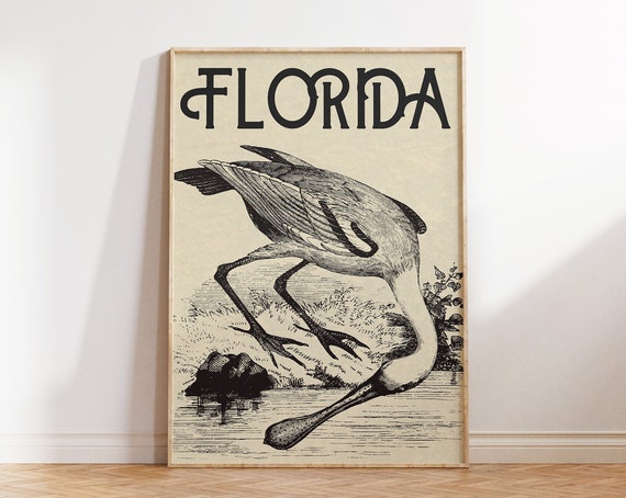 Vintage Florida American White Ibis Art Print