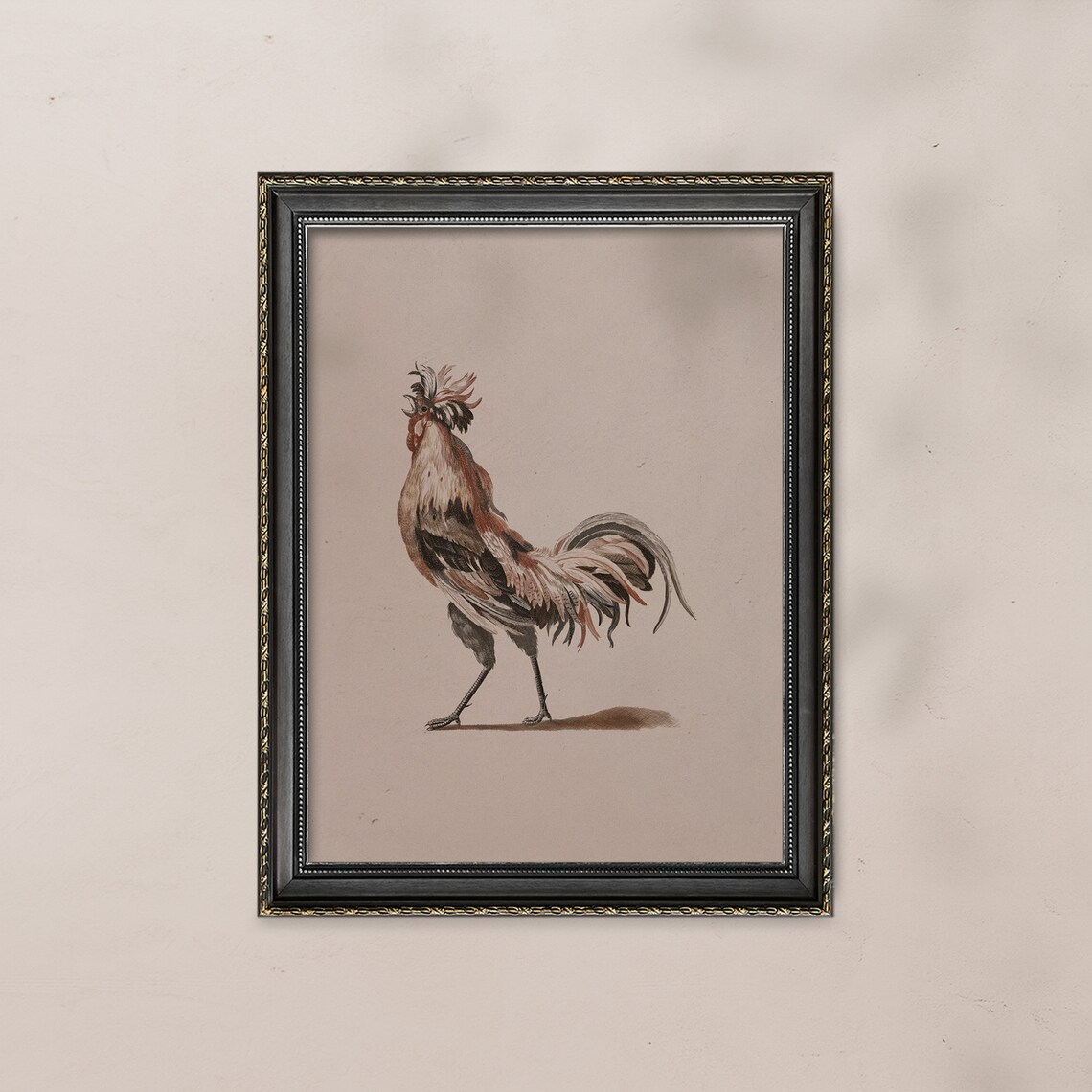 Vintage Rooster Illustration Antique Farm Bird Minimal Neutral Print - Image 3
