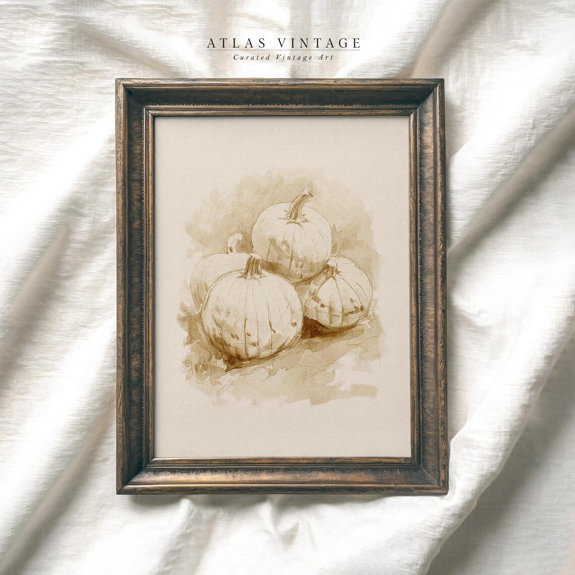 Pumpkins Sepia Sketch Fall Harvest Botanical Illustration Vintage Art Poster