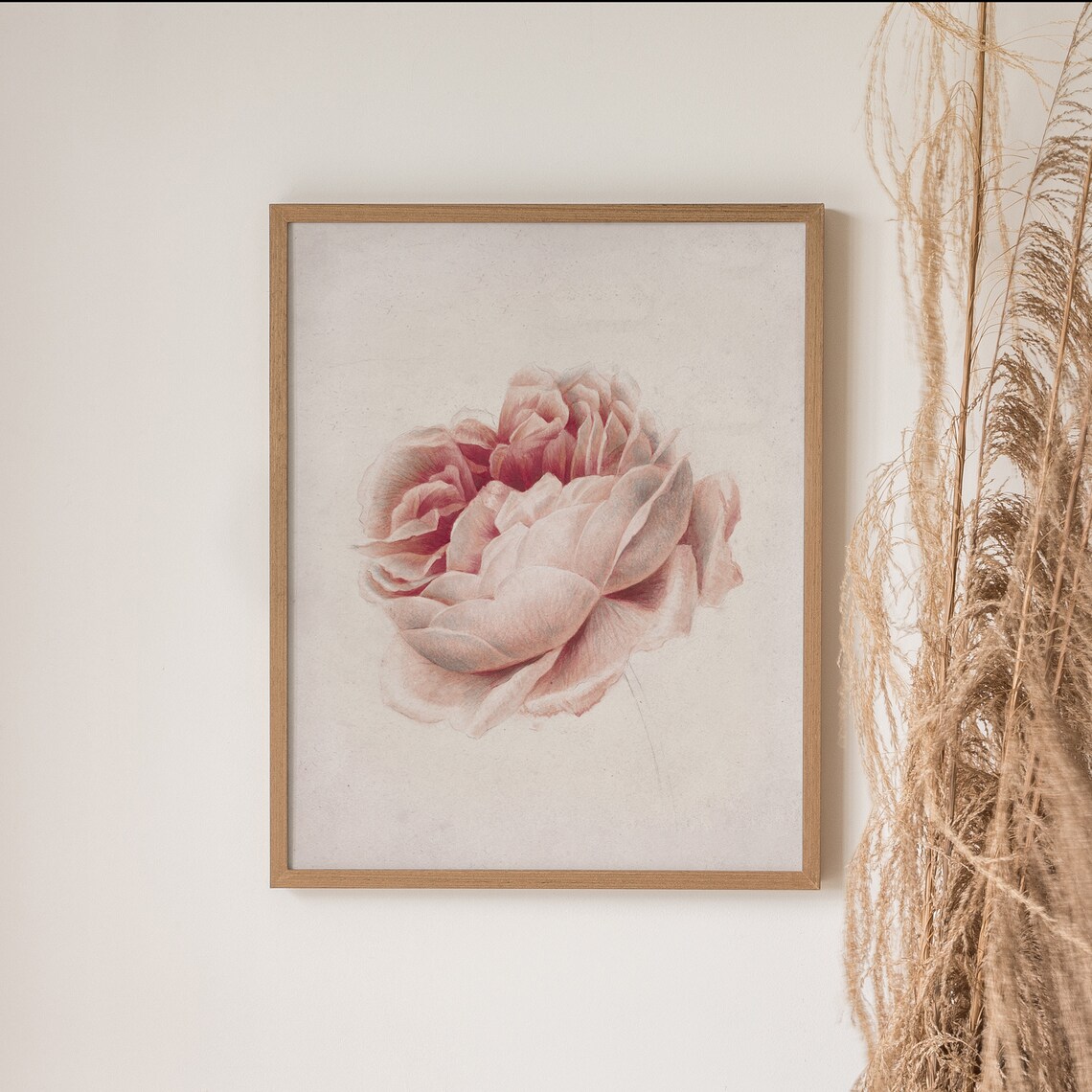 Blush Pink Peony Vintage Botanical Illustration Minimal Floral Print - Image 3