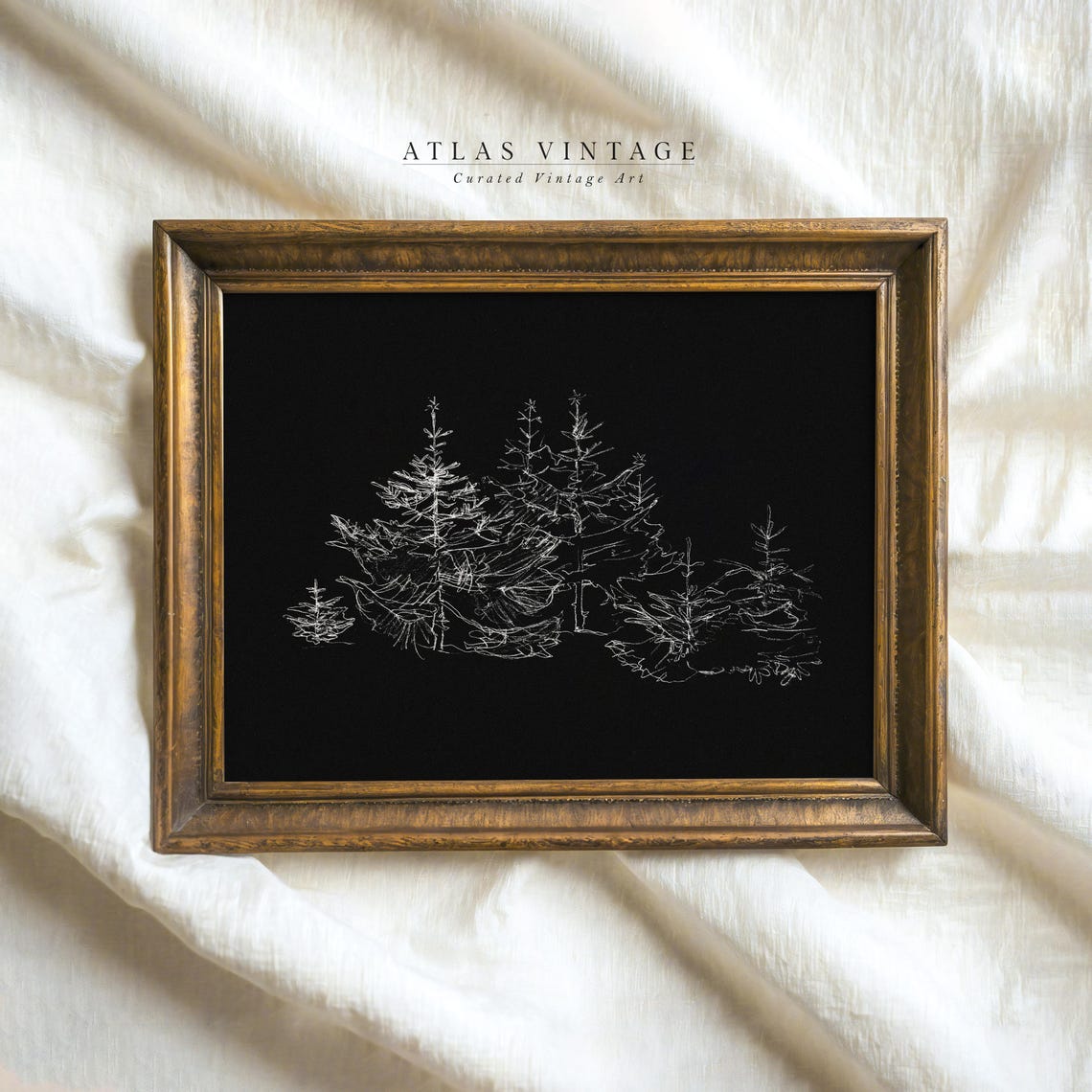 White Pine Trees Line Drawing on Black Minimalist Forest Poster