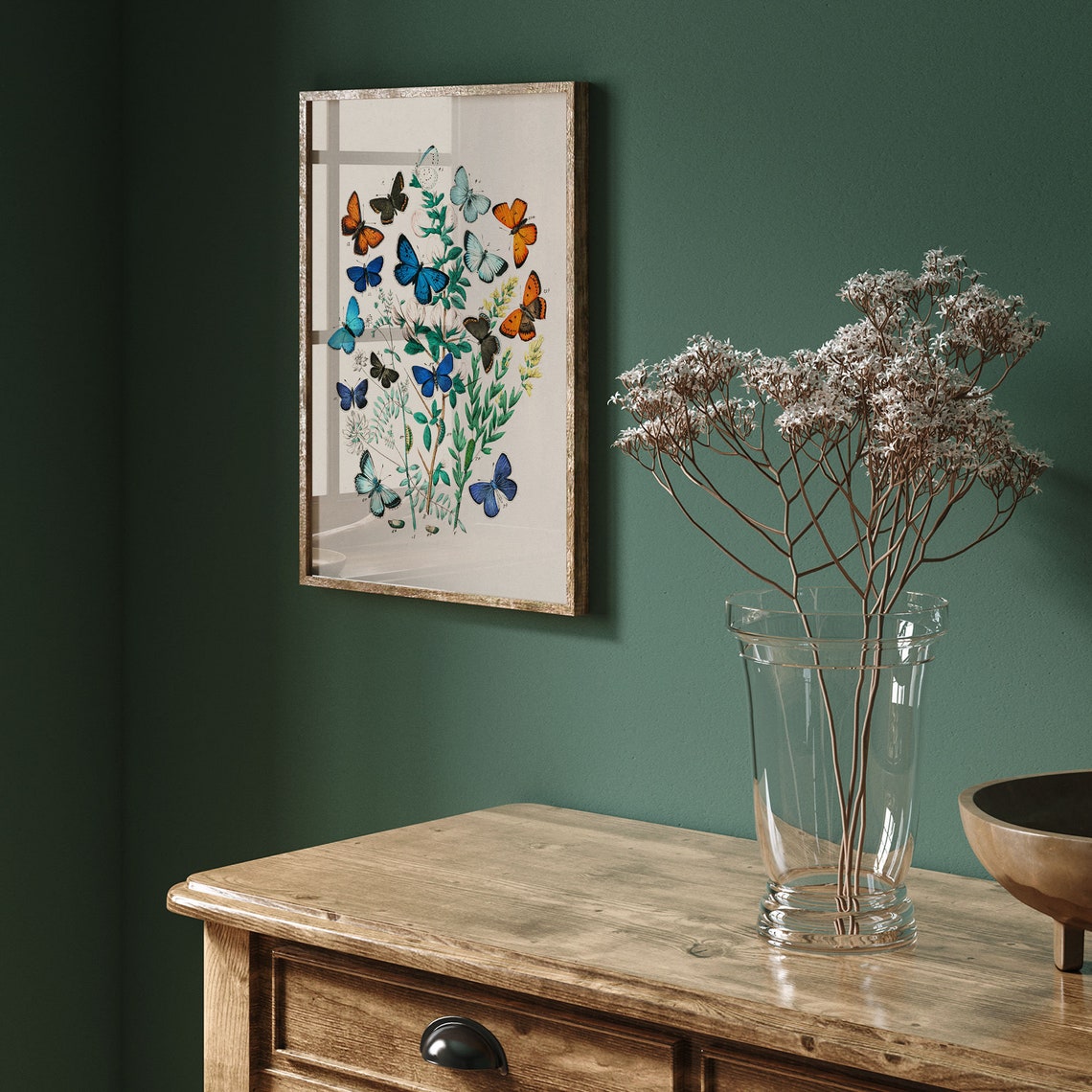 Colorful Antique Butterfly Specimen Plate On Botanical Branches Poster - Image 4