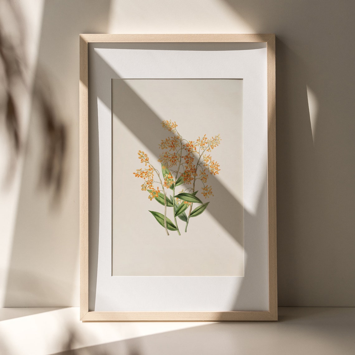 Antique Golden Floral Botanical Study Cream Background Art Poster - Image 8