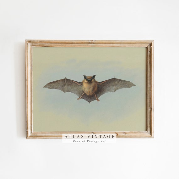 Vintage Bat Painting Print Dark Academia Wall Art Cottagecore Decor
