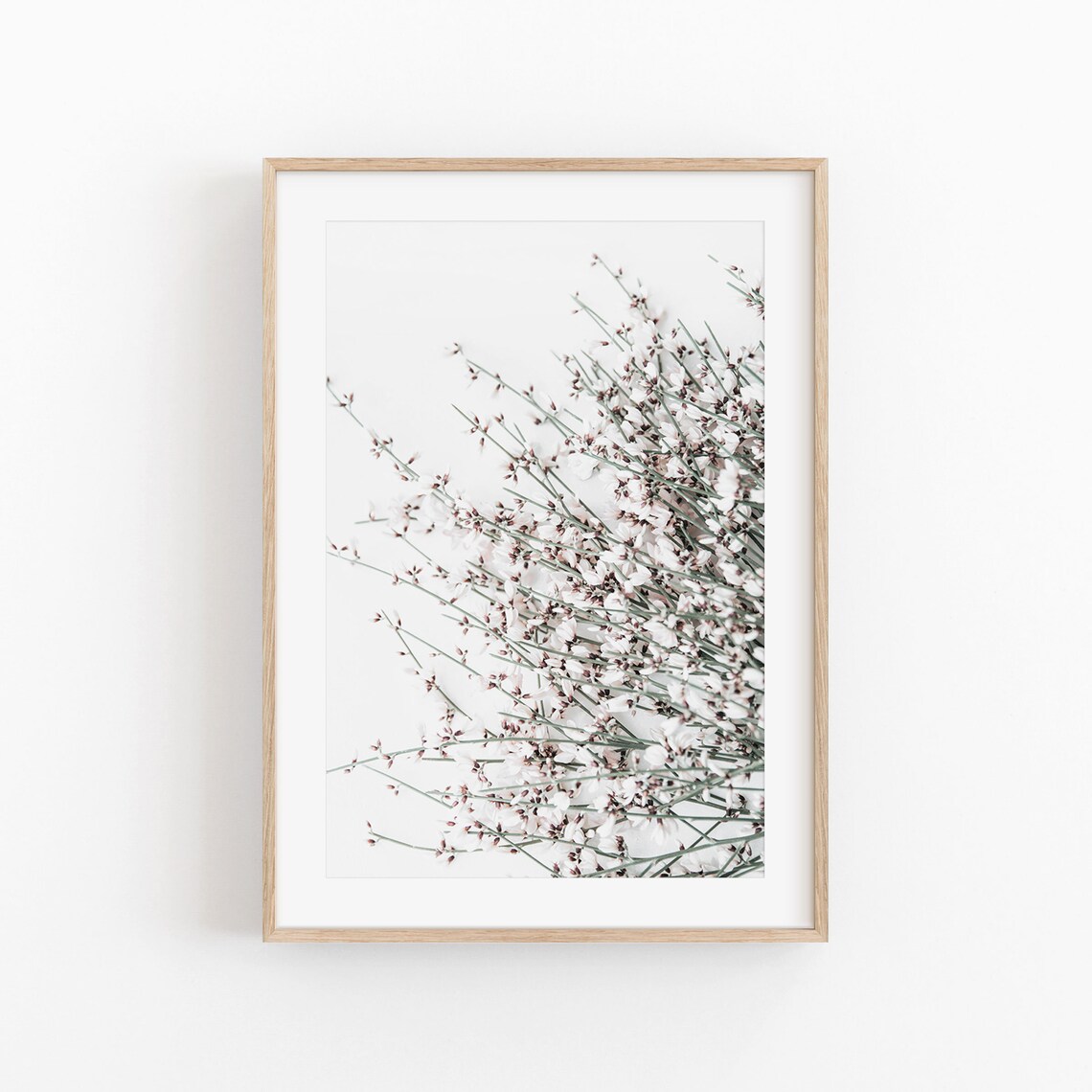 Wild Flower Botanical Art Print, Floral Wall Decor