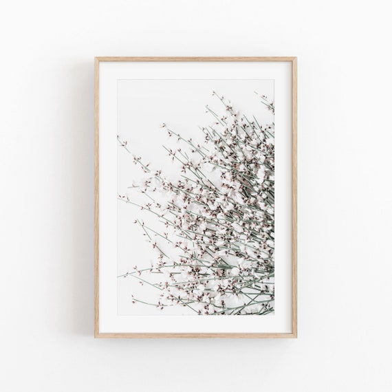 Wild Flower Botanical Art Print, Floral Wall Decor
