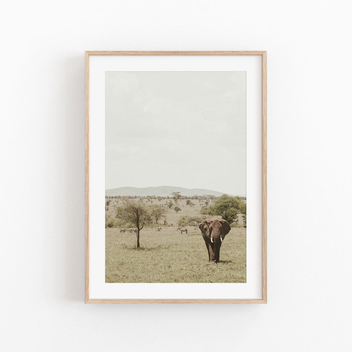 South Africa Print Nature Wall Art Photography Print Africa View Art Print Photo Poster South Africa Room Decor Boho Poster Animal