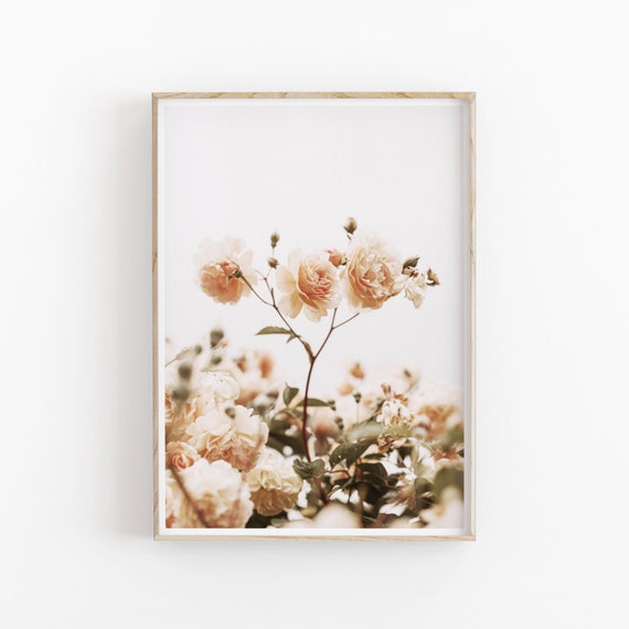 Roses Floral Art Print, Desert Flowers Decor