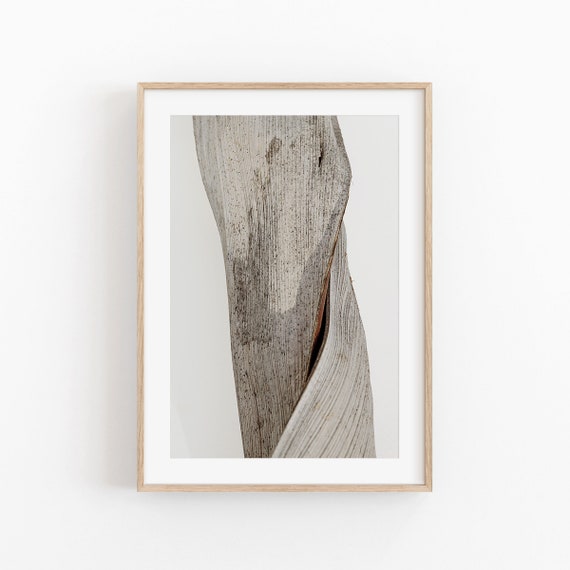 Botanical Print, Modern Minimalist Poster