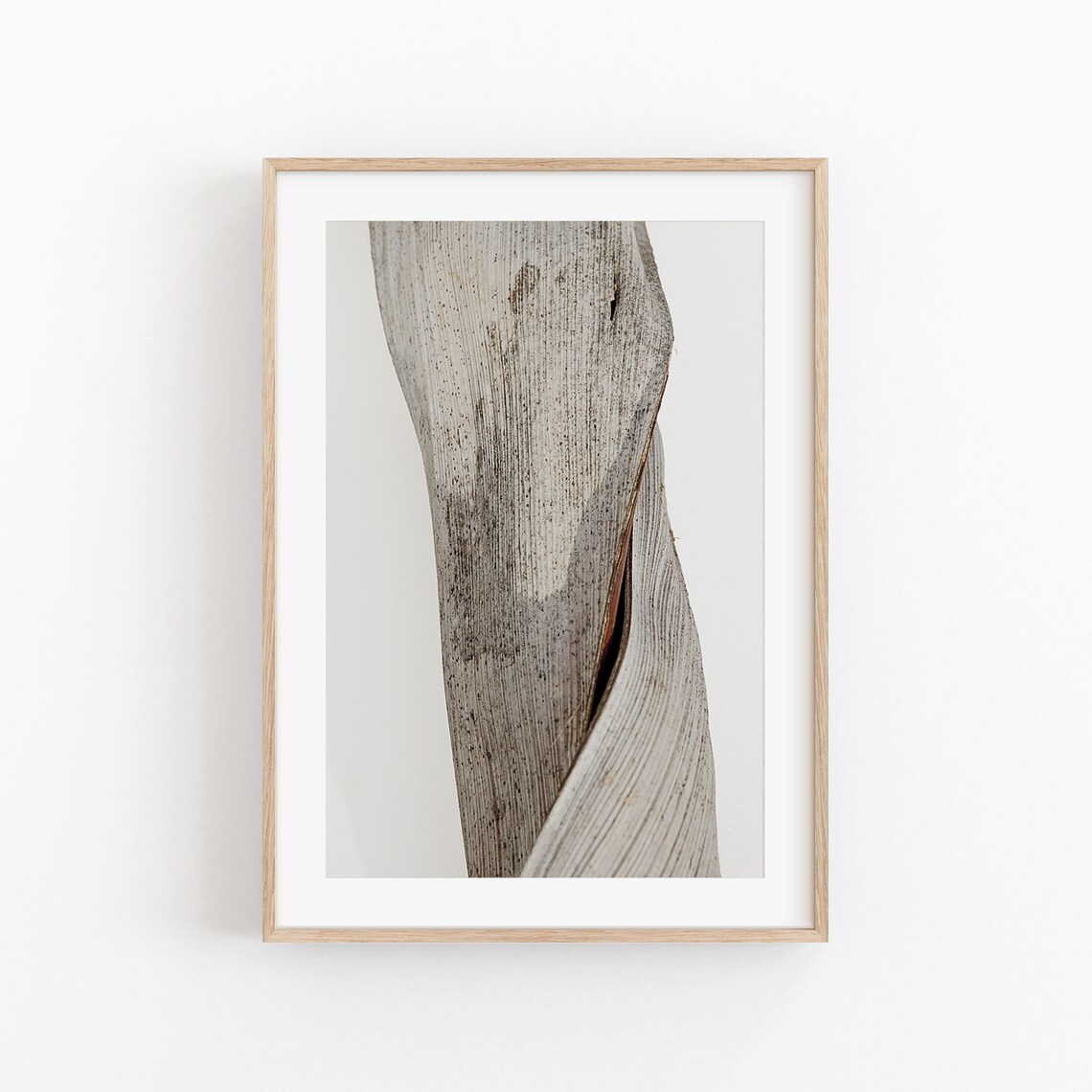 Botanical Print, Modern Minimalist Poster