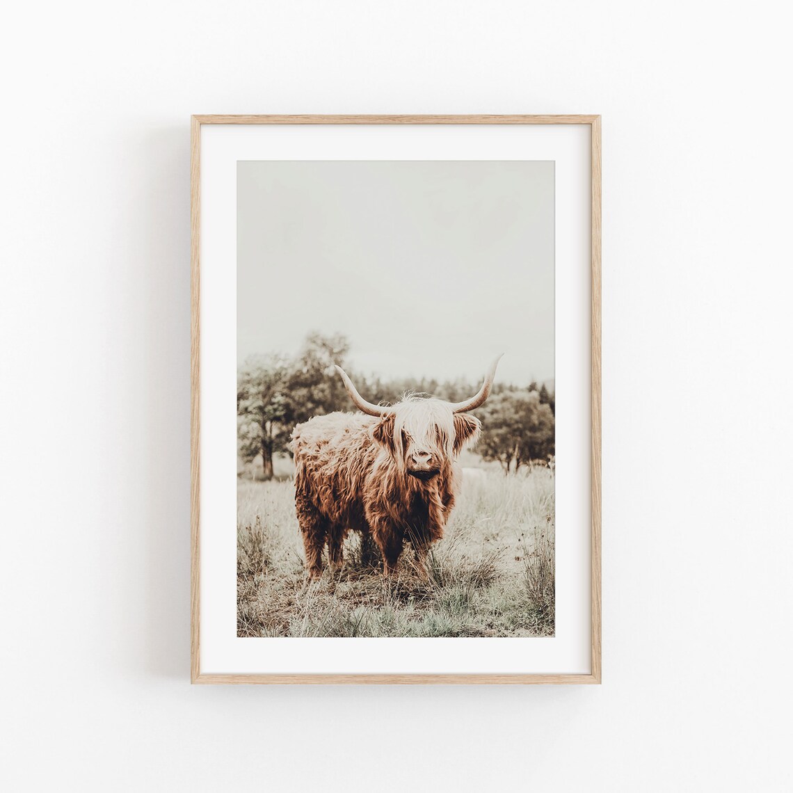 Highland Cow Art Print, Scotland Gallery Wall Set
