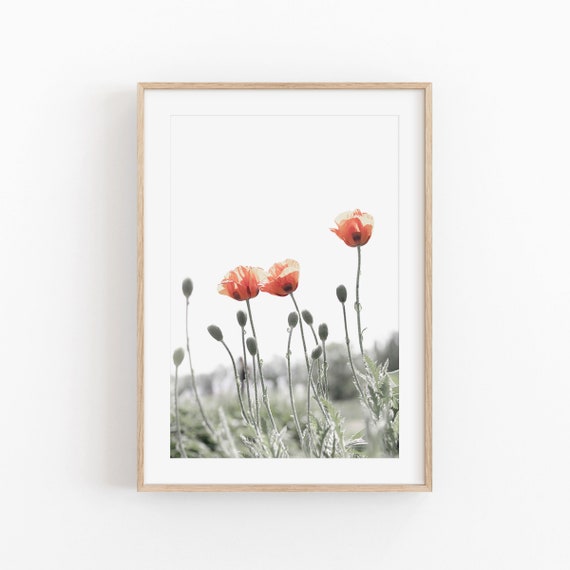 Poppy Flowers, Modern Minimalist Art Print