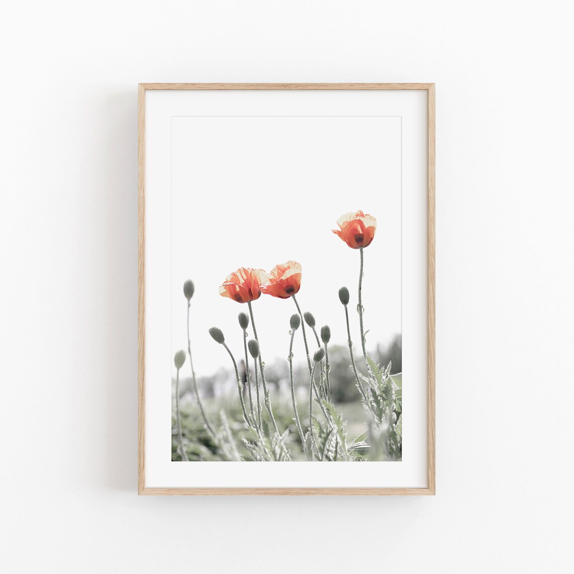 Poppy Flowers, Modern Minimalist Art Print