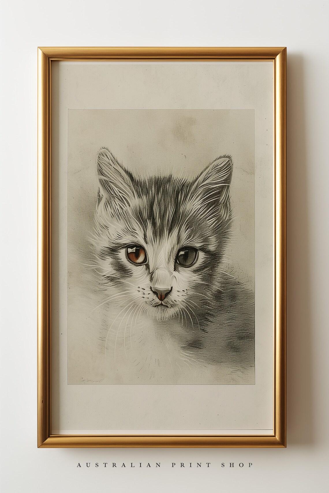 Wide Eyed Kitten Pencil Study With Amber Eyes Vintage Animal Wall Art - Image 7