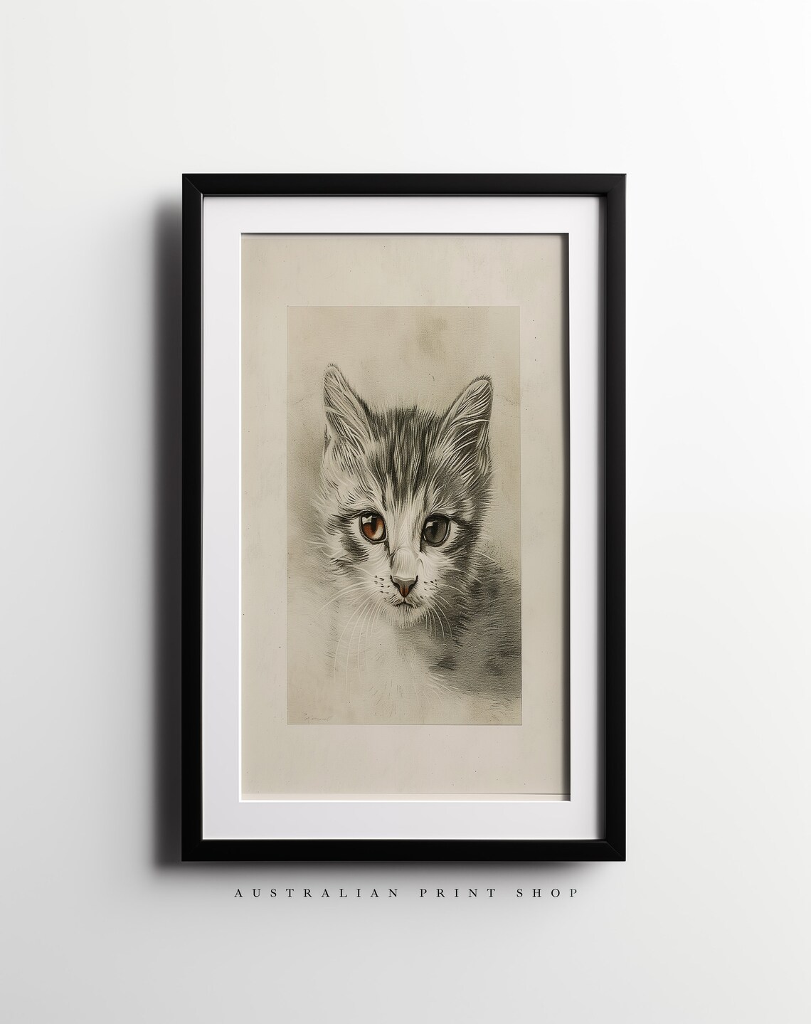 Wide Eyed Kitten Pencil Study With Amber Eyes Vintage Animal Wall Art - Image 3