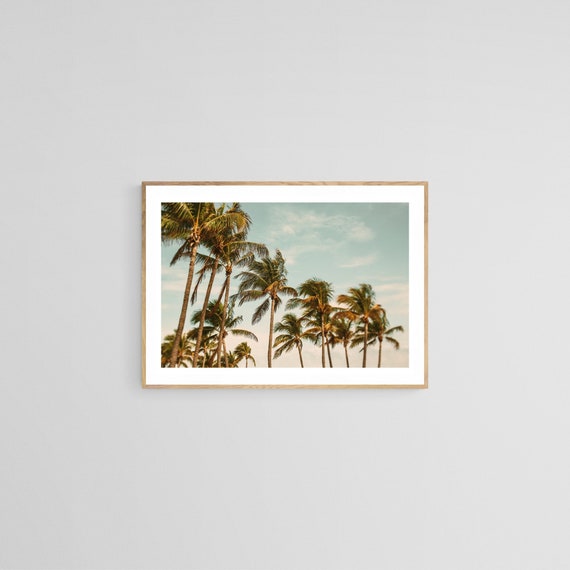 Palm Tree Print, Tropical Florida Photograph