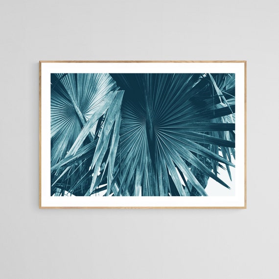 Cyanotype Palm Tree Photo, Florida Nature Art