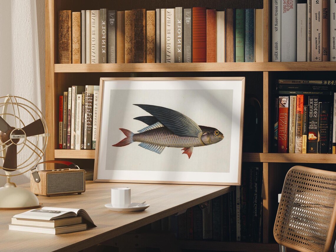 Flying Fish Vintage Naturalist Marine Illustration Art Poster - Image 2