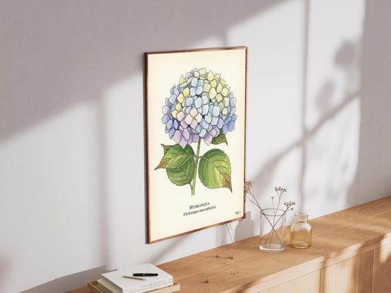 Hydrangea Botanical Print Vintage Watercolor Floral Wall Art