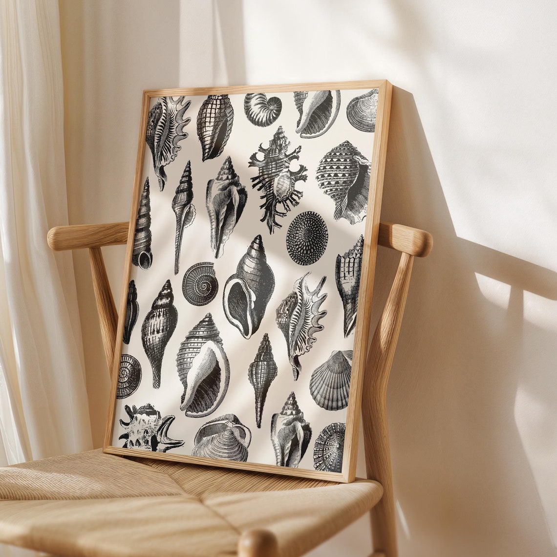 Charcoal Black Vintage Seashell Illustrations Coastal Decor Poster