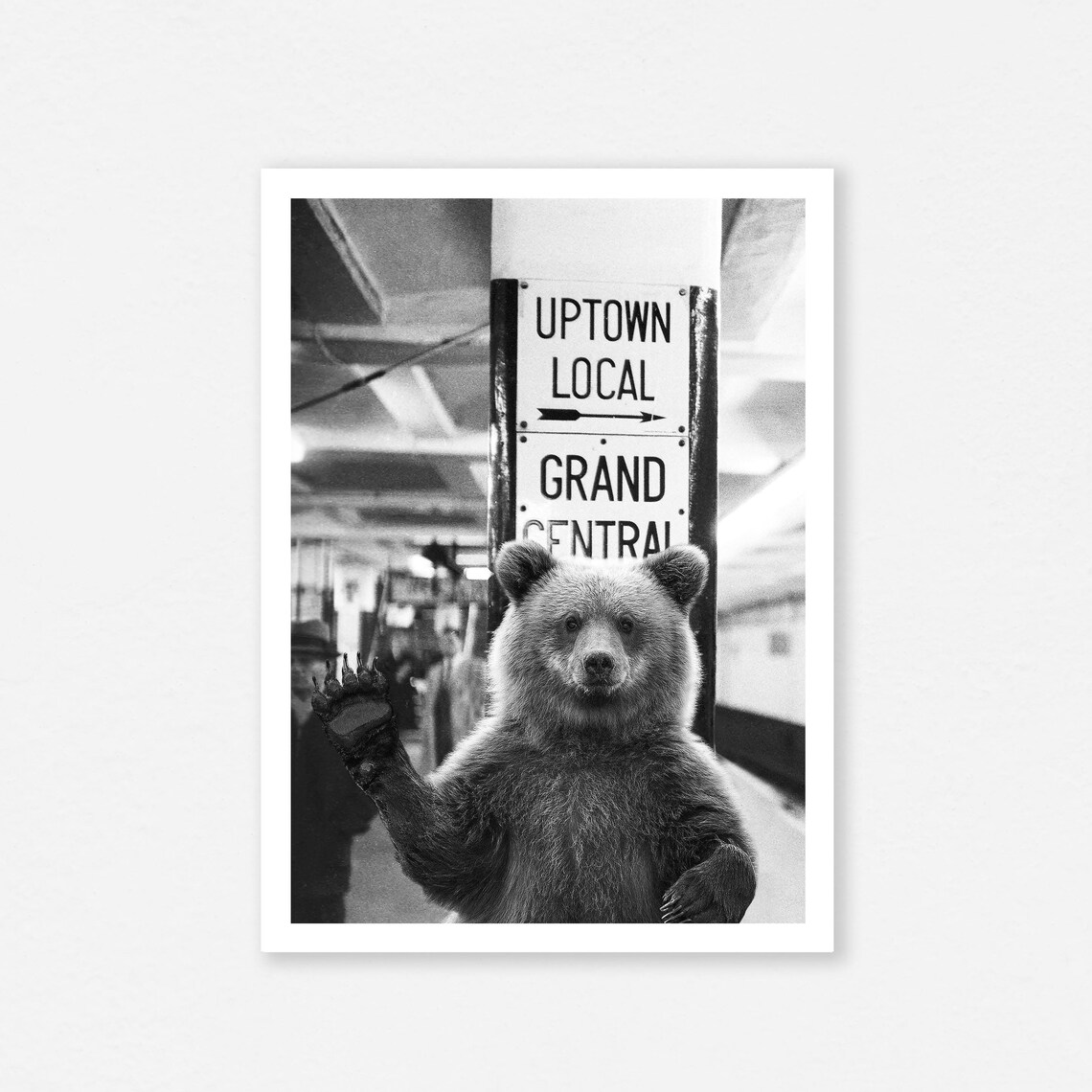 Friendly Waving Bear Grand Central Subway Funny Animal Photo Poster