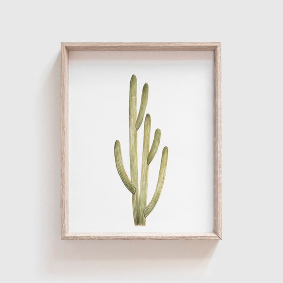 Smooth Cactus No 1 Art Print, Southwestern Watercolor