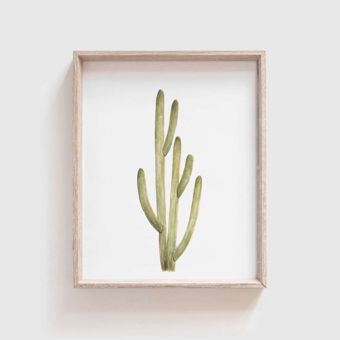 Smooth Cactus No 1 Art Print, Southwestern Watercolor