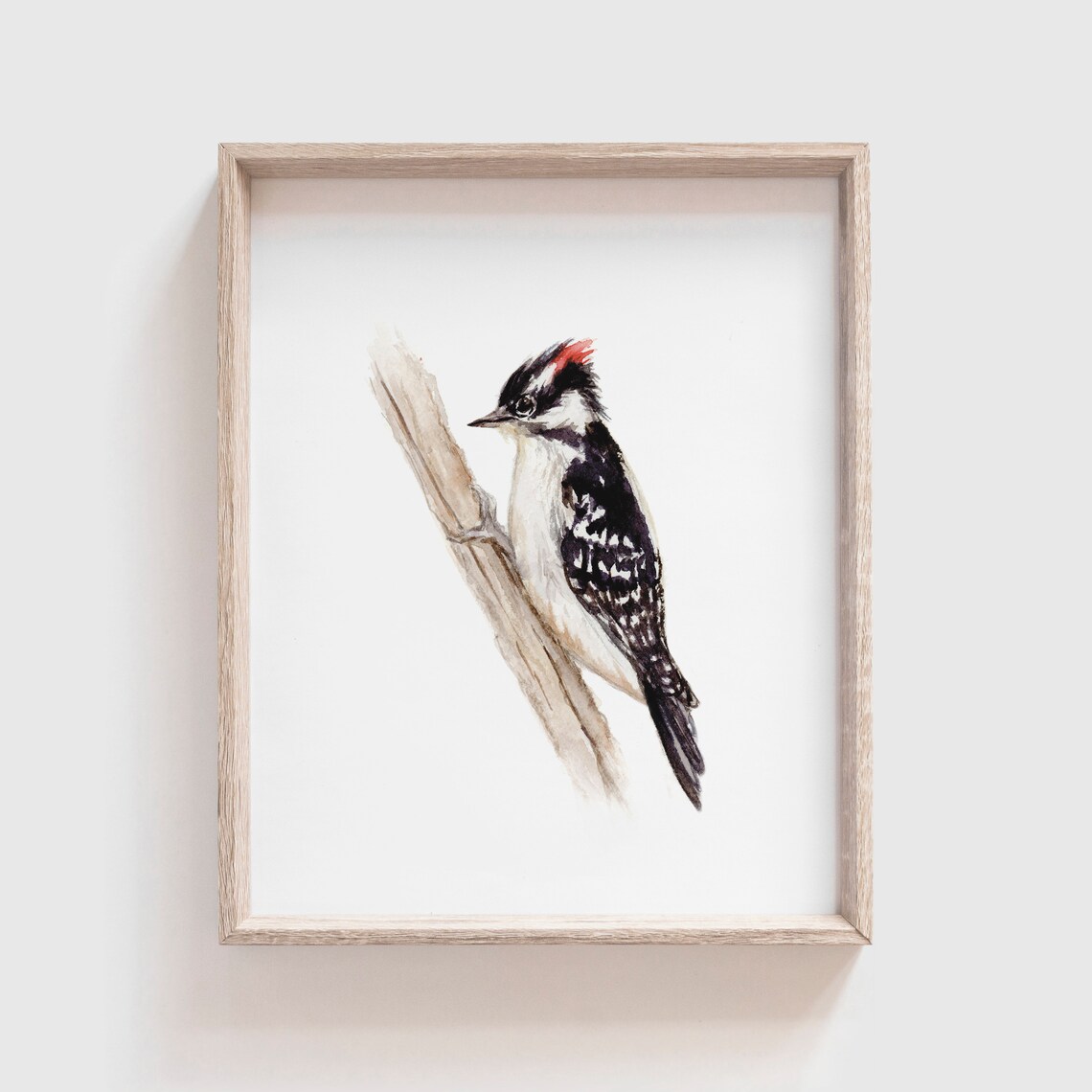 Downy Woodpecker Watercolor Art Print, Bird Painting