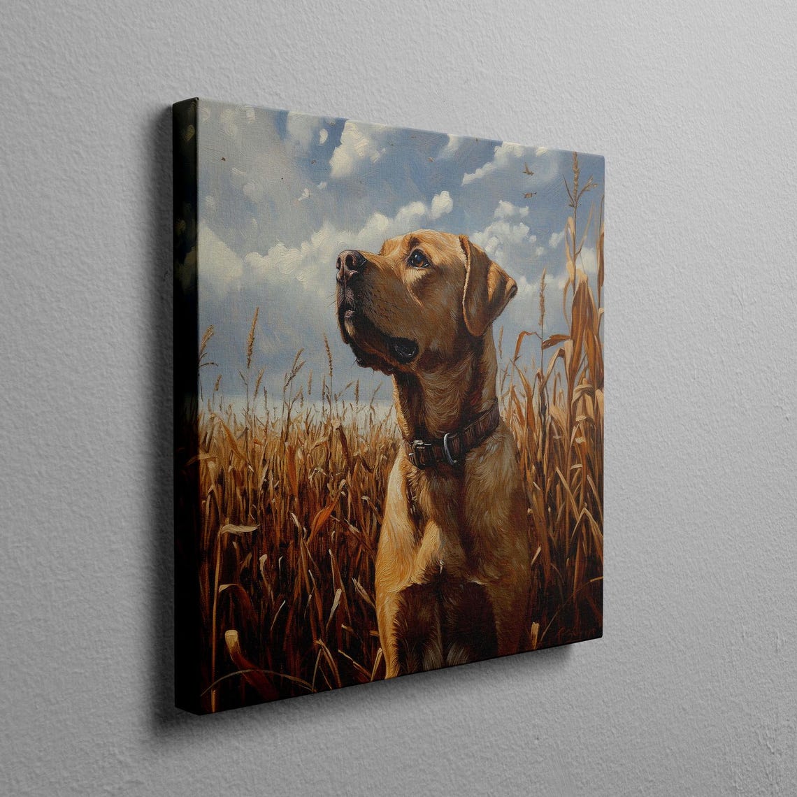 Yellow Labrador Portrait Standing In A Golden Cornfield Poster - Image 2