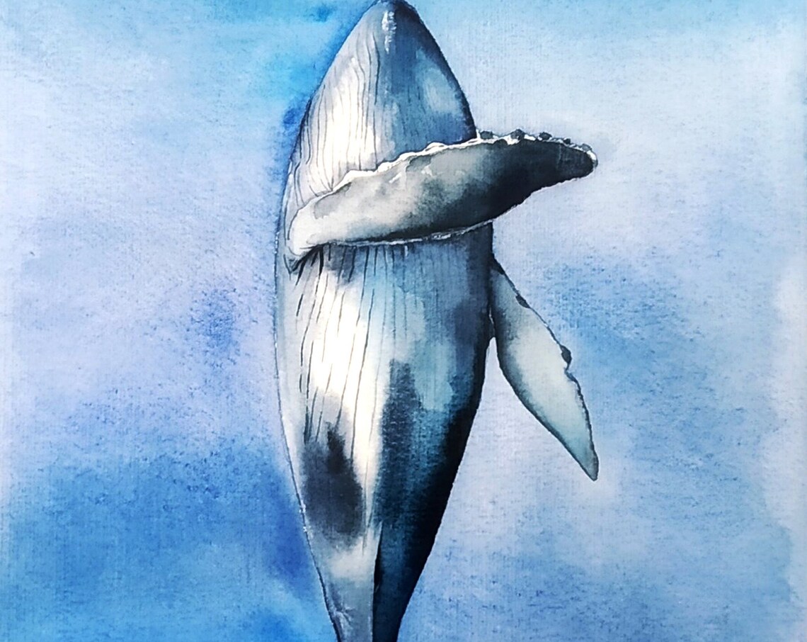 Blue Whale Watercolor Underwater Ocean Marine Life Scenic Poster