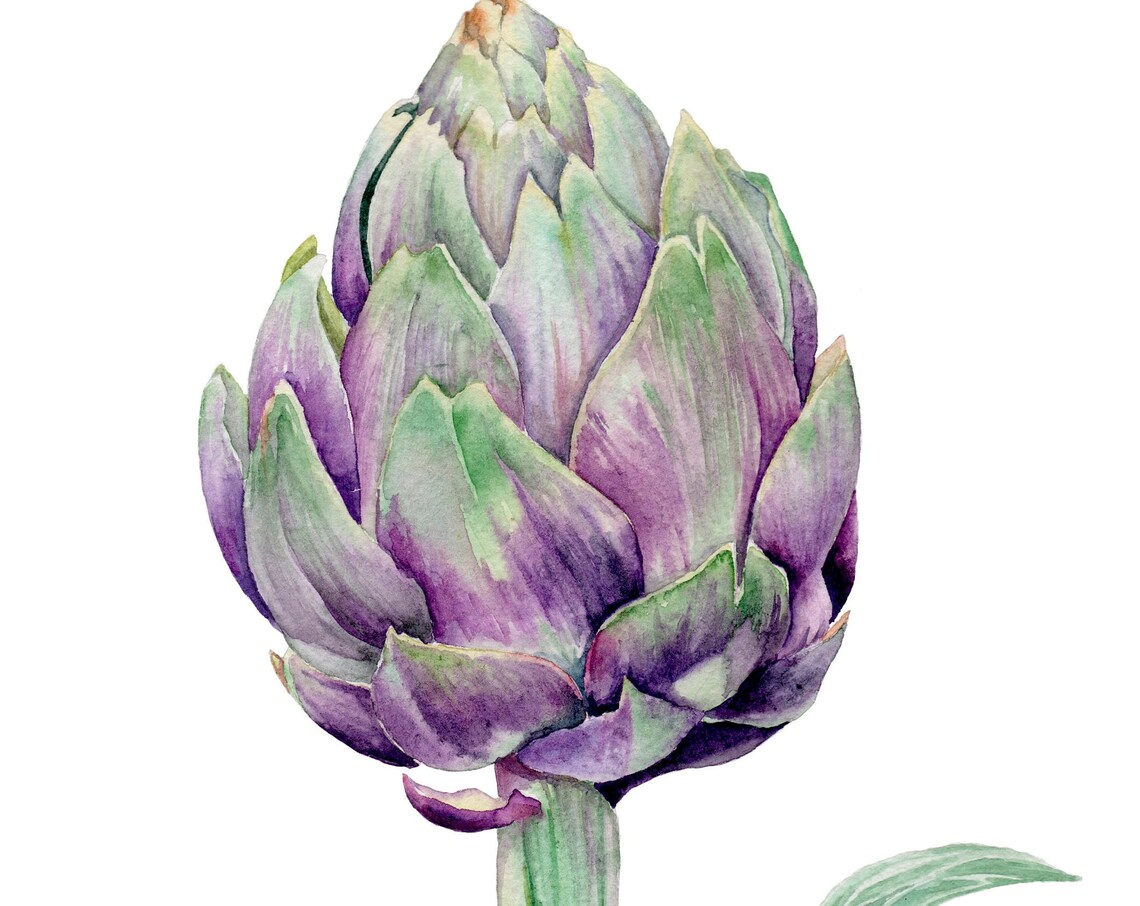Original Watercolor Painting Vegetable Artichoke Artwork Artichoke Wall Art Friut Still Life Painting Food Artwork Kitchen Fine Art