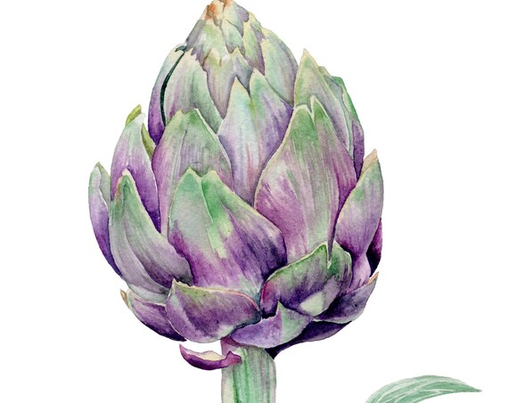 Original Watercolor Painting Vegetable Artichoke Artwork Artichoke Wall Art Friut Still Life Painting Food Artwork Kitchen Fine Art